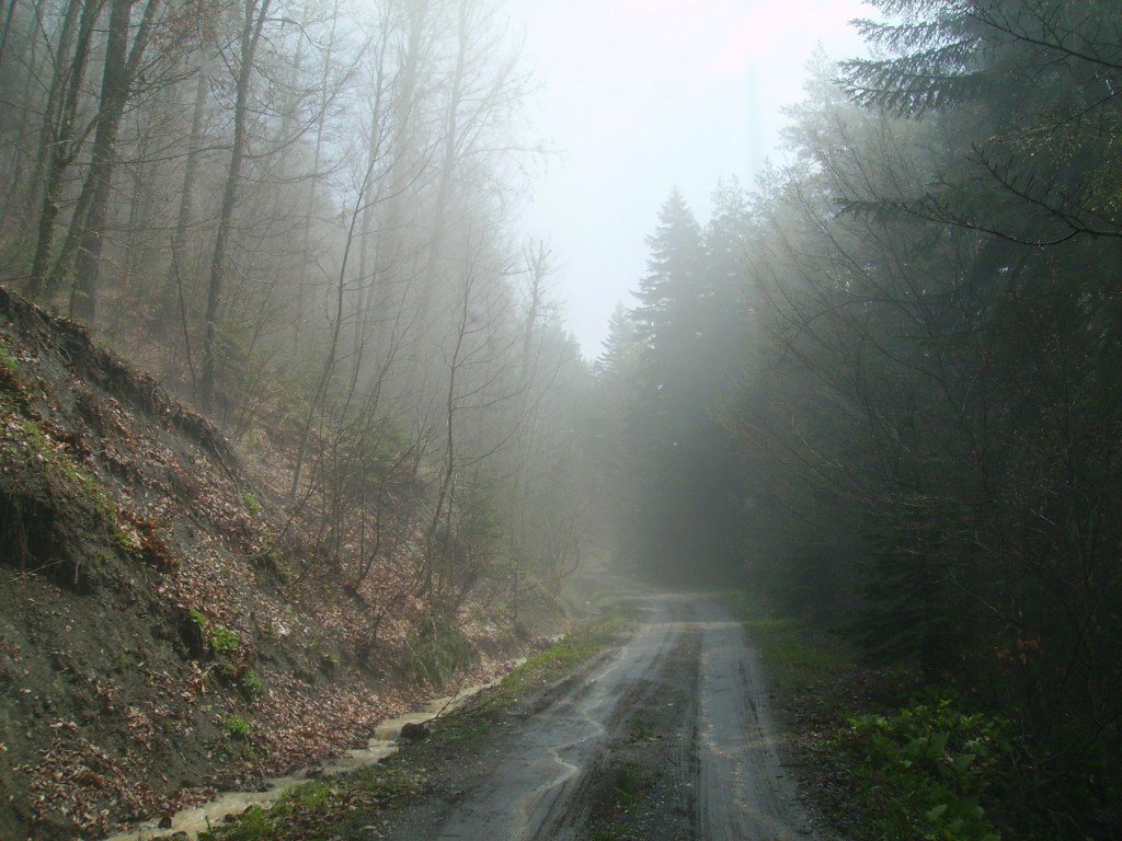PICT0329.jpg