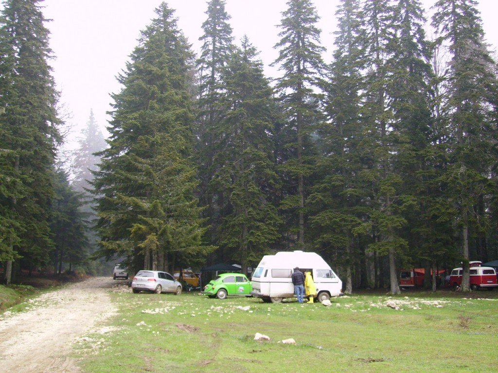 PICT0336.jpg