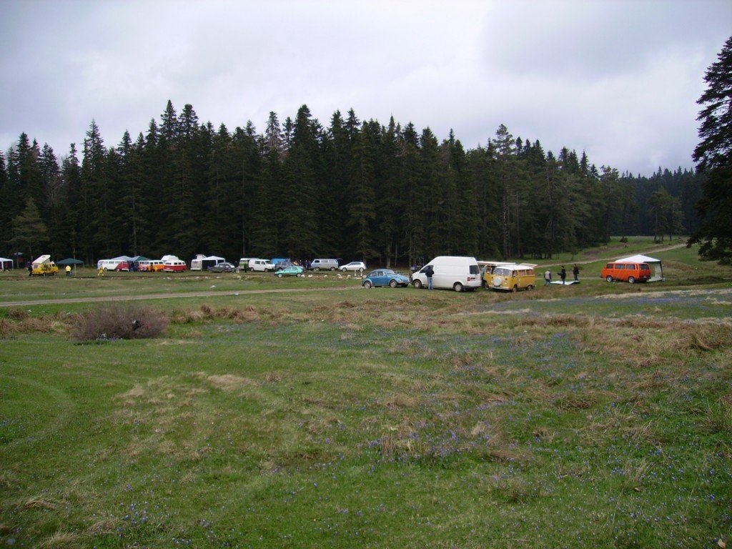 PICT0354.jpg