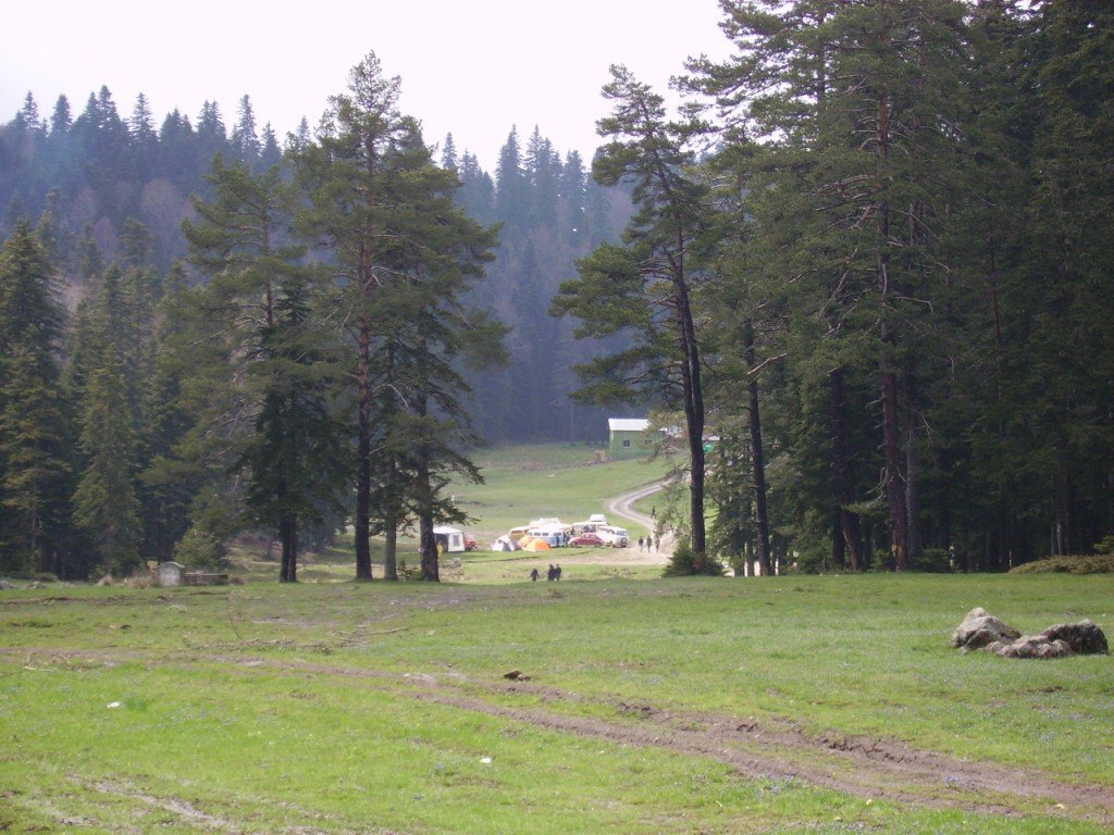 PICT0360.jpg