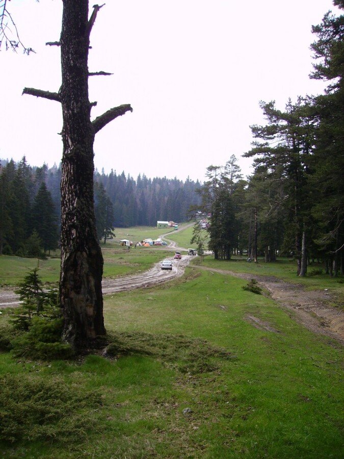 PICT0362.jpg