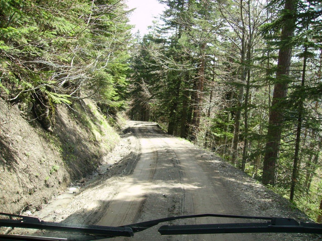 PICT0394.jpg