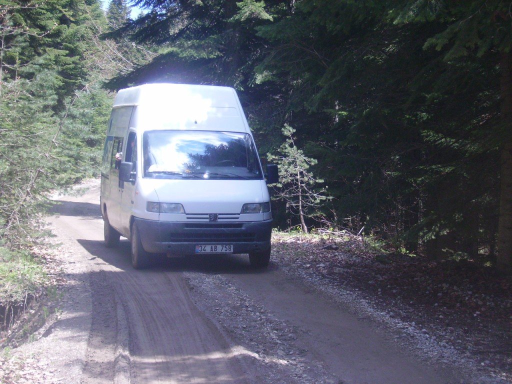 PICT0396.jpg