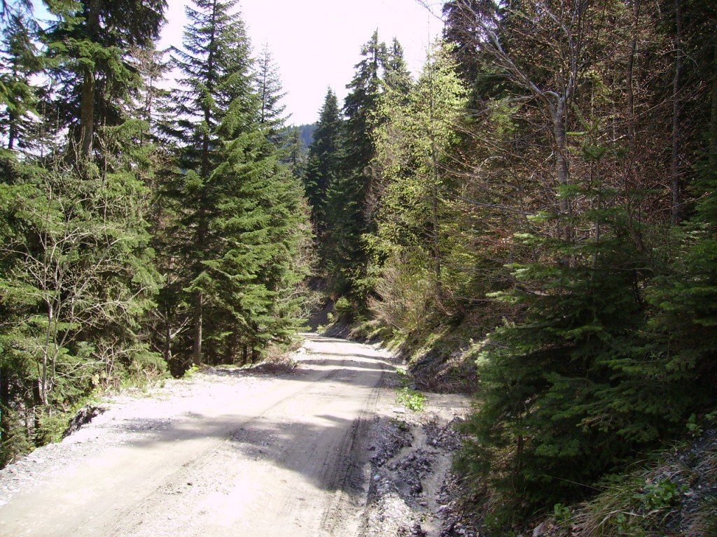 PICT0407.jpg