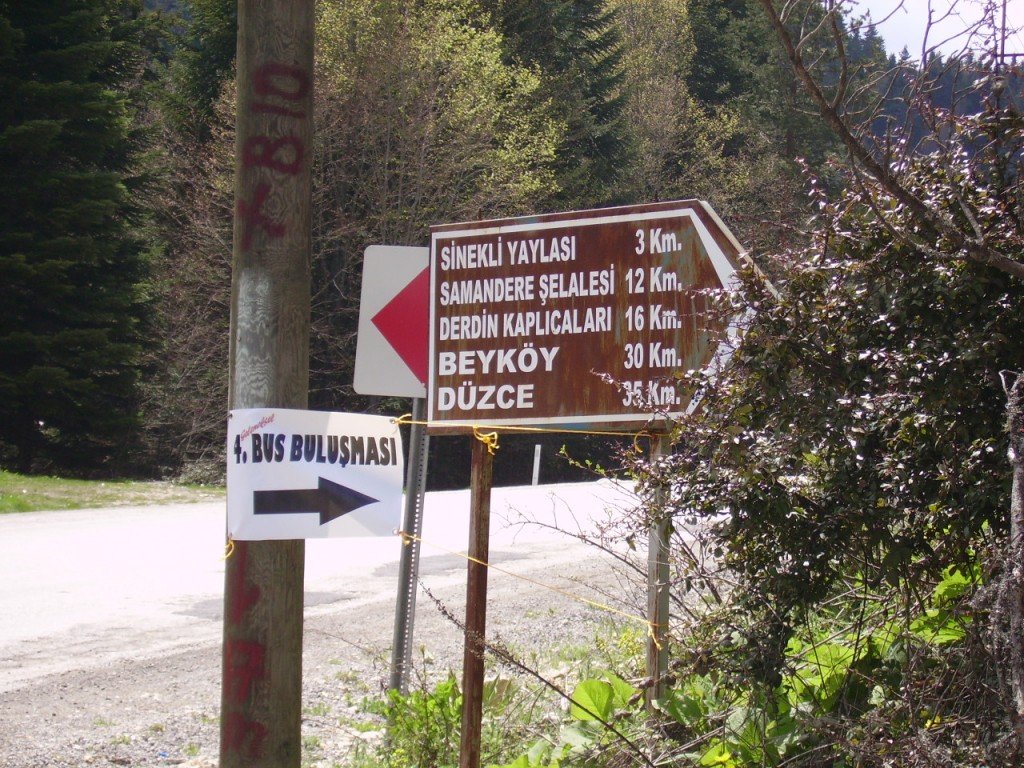 PICT0410.jpg