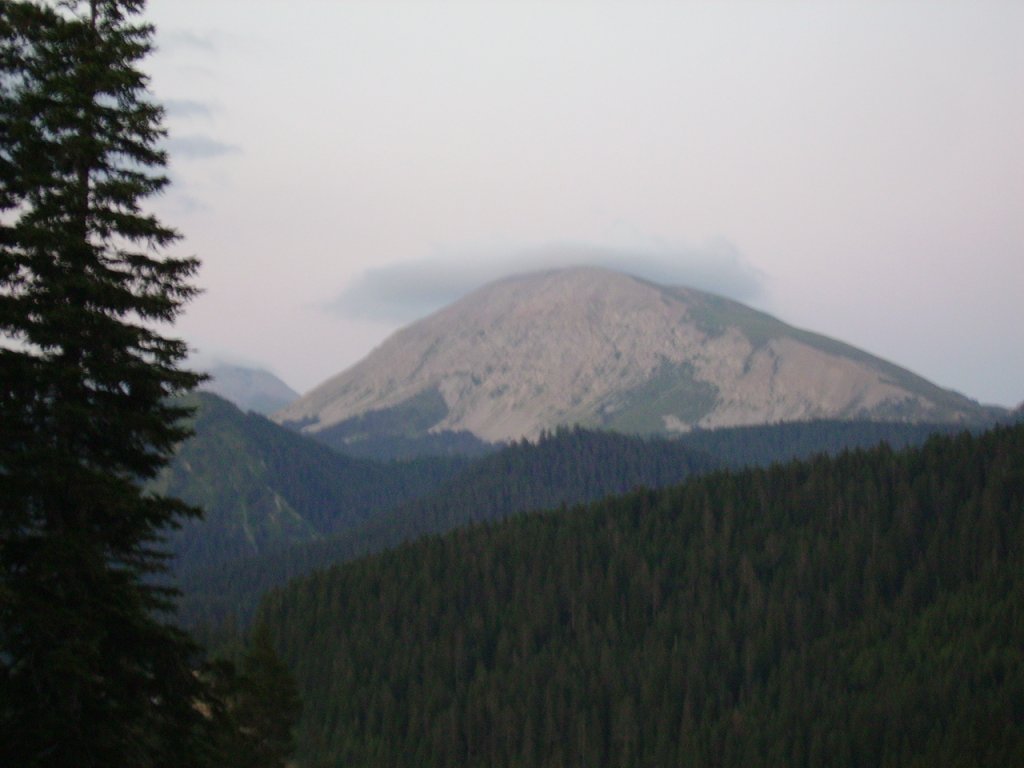 PICT0606.jpg