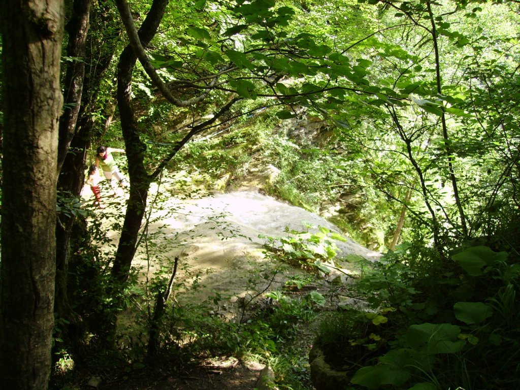 PICT0630.jpg