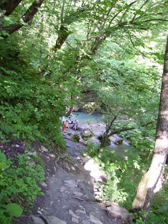 PICT0631.jpg