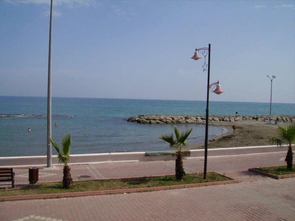 PICT0650.jpg