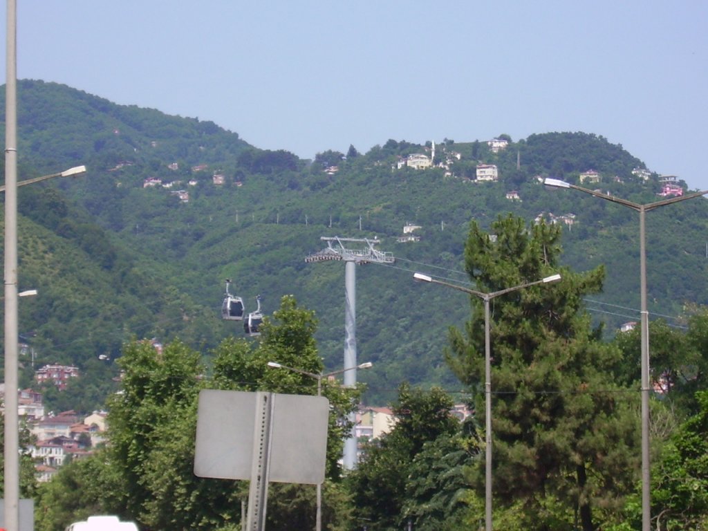 PICT0669.jpg