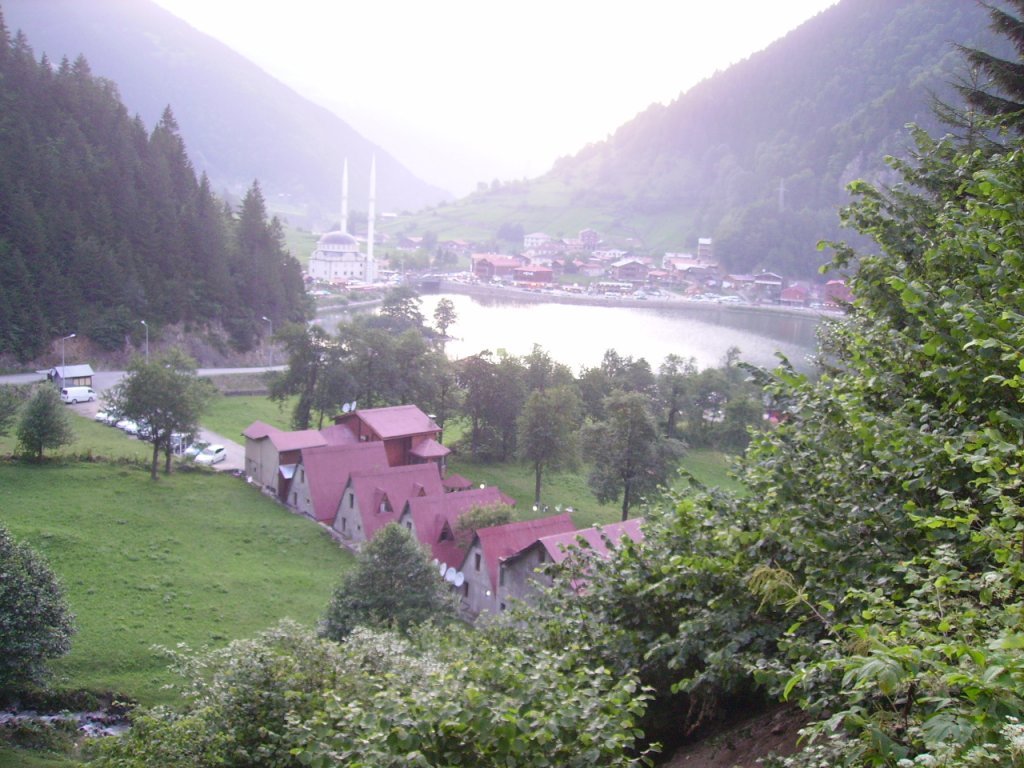 PICT0719.jpg