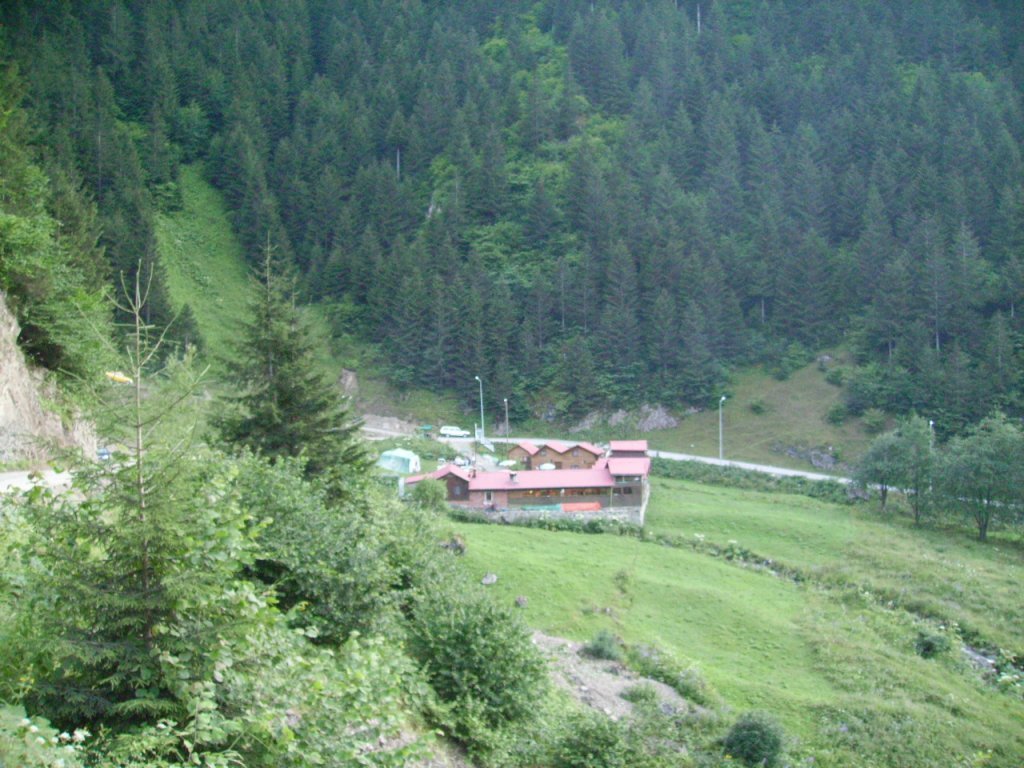 PICT0722.jpg