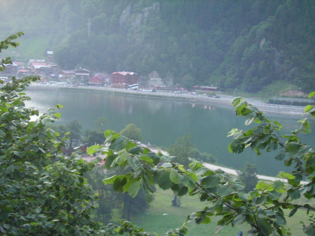 PICT0723.jpg