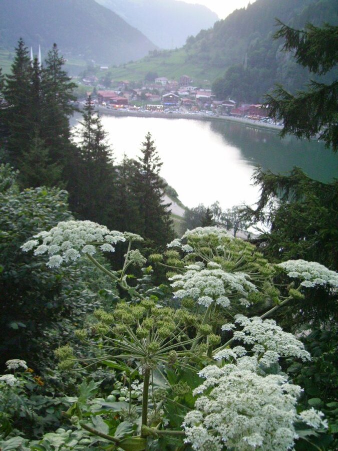 PICT0732.jpg