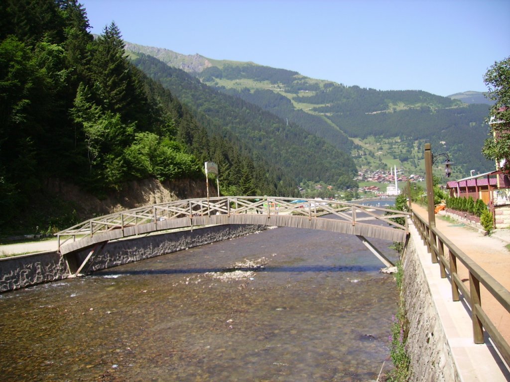 PICT0740.jpg
