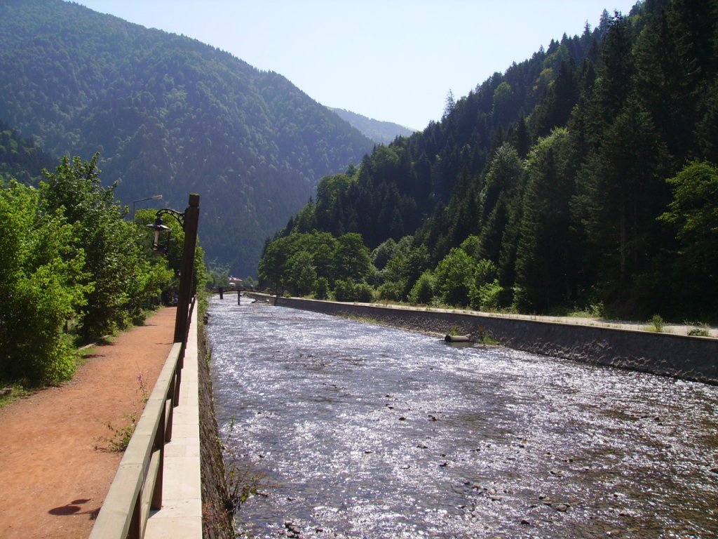 PICT0742.jpg