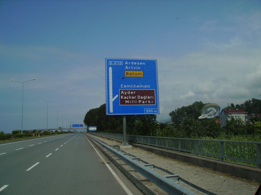 PICT0768.jpg