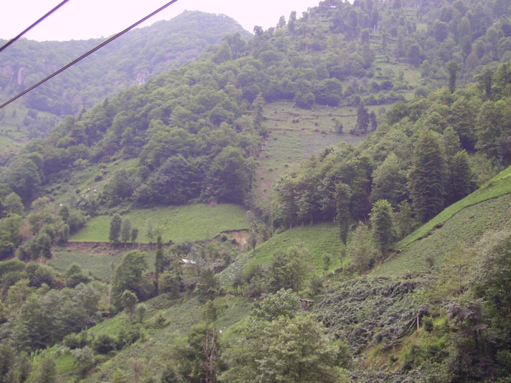 PICT0773.jpg