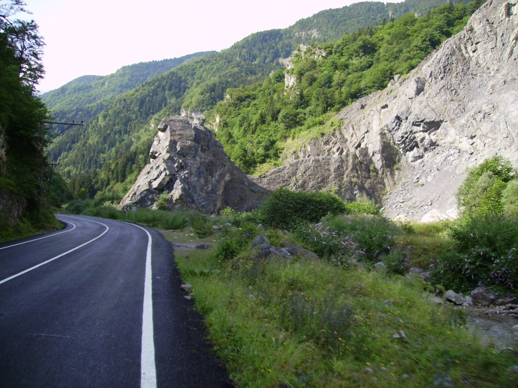 PICT0780.jpg