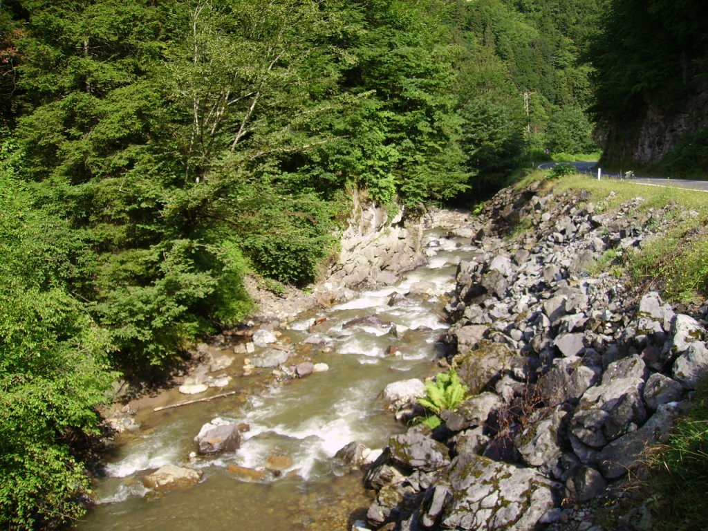 PICT0783.jpg