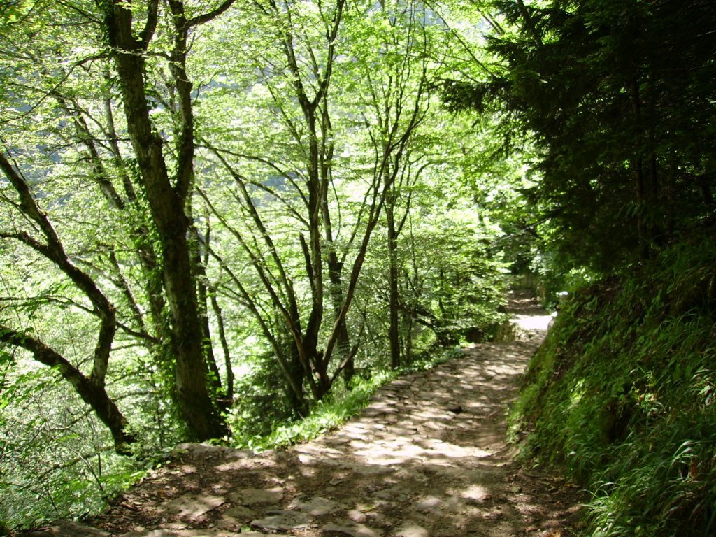 PICT0787.jpg