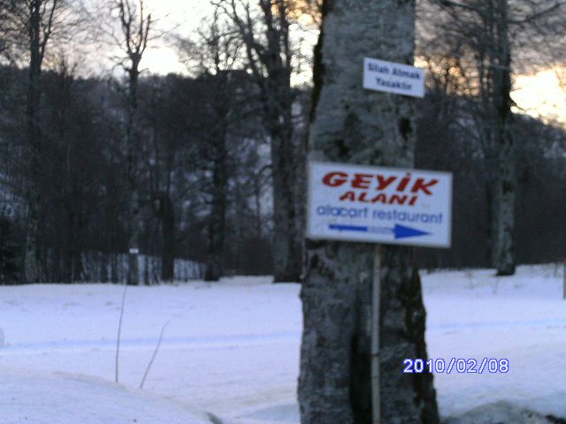 PICT0836.jpg