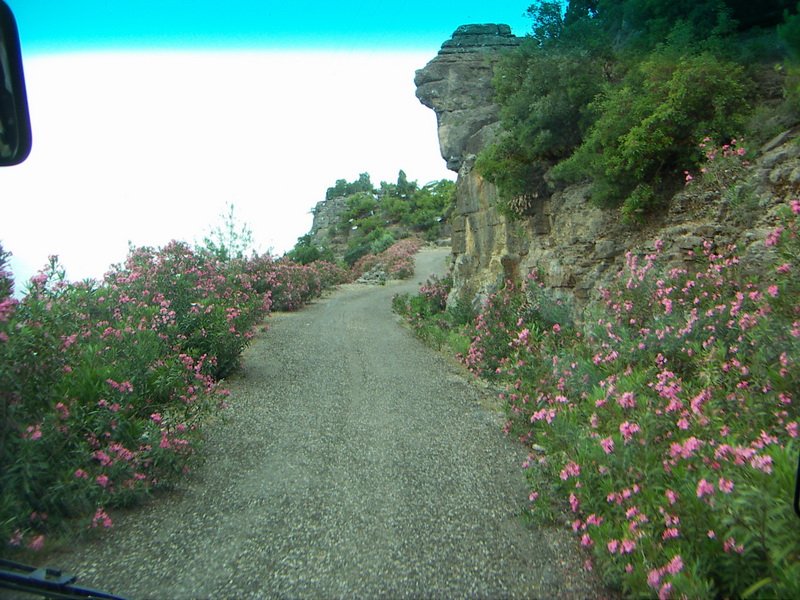PICT0843_resize.JPG