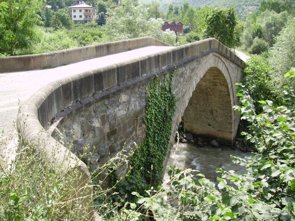 PICT0856.jpg