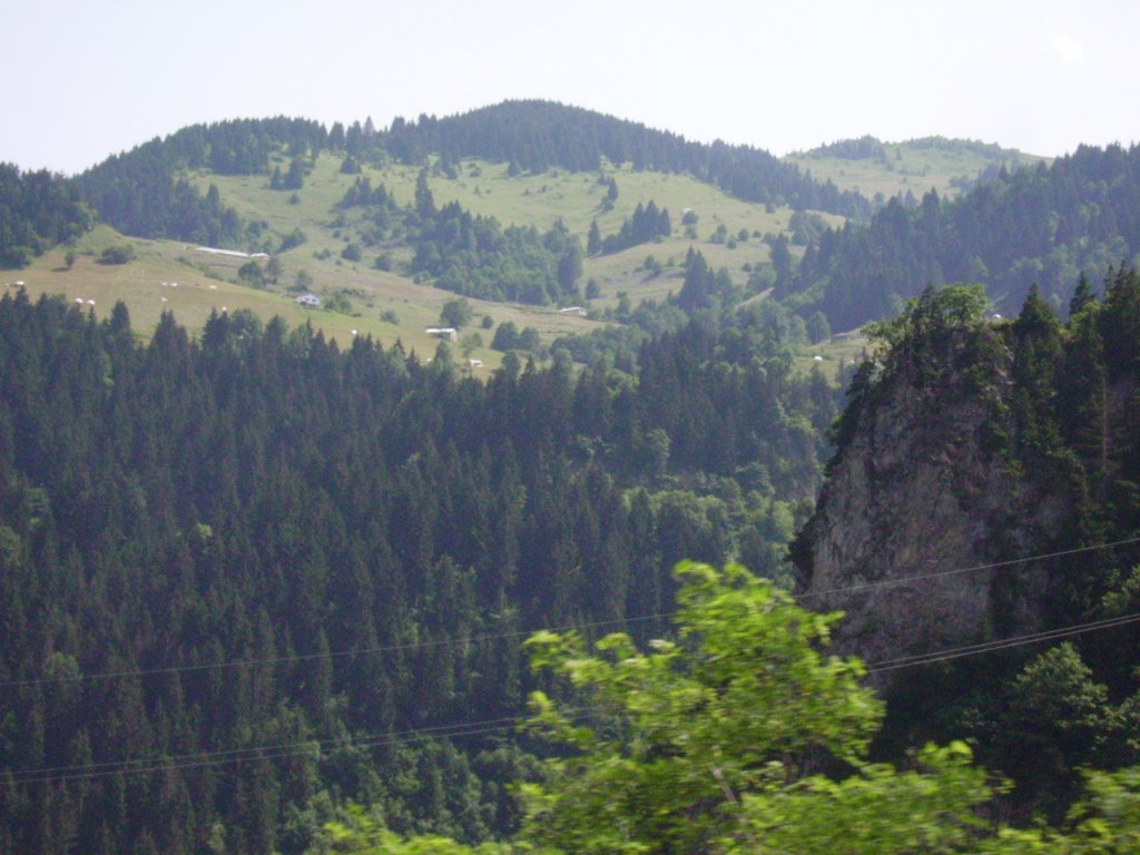 PICT0861.jpg