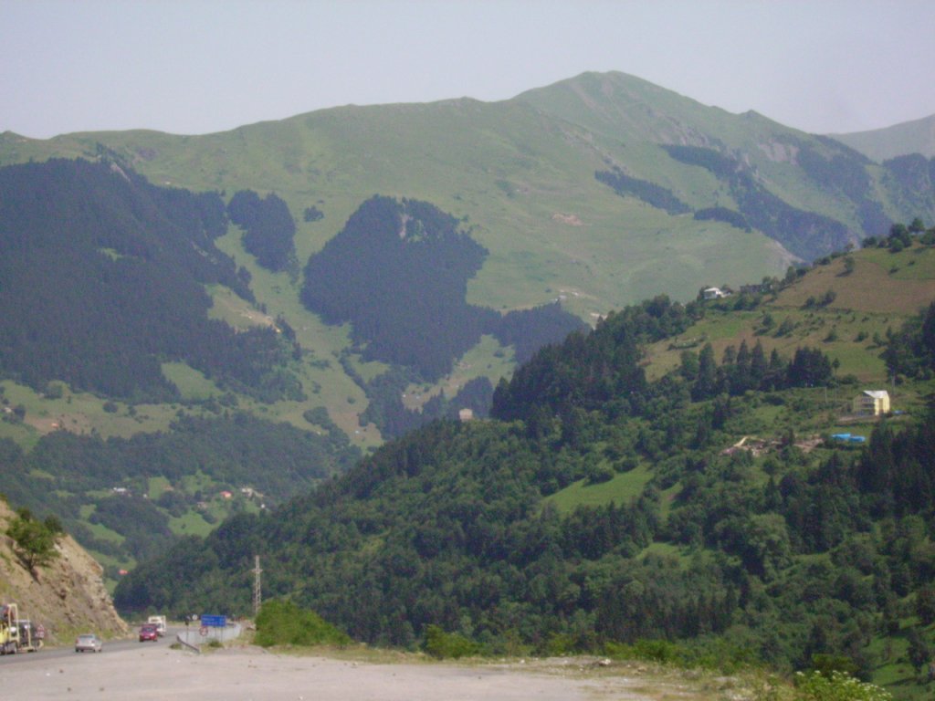 PICT0862.jpg