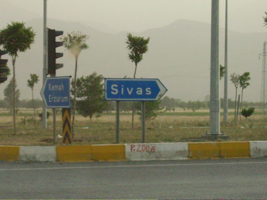 PICT0868.jpg