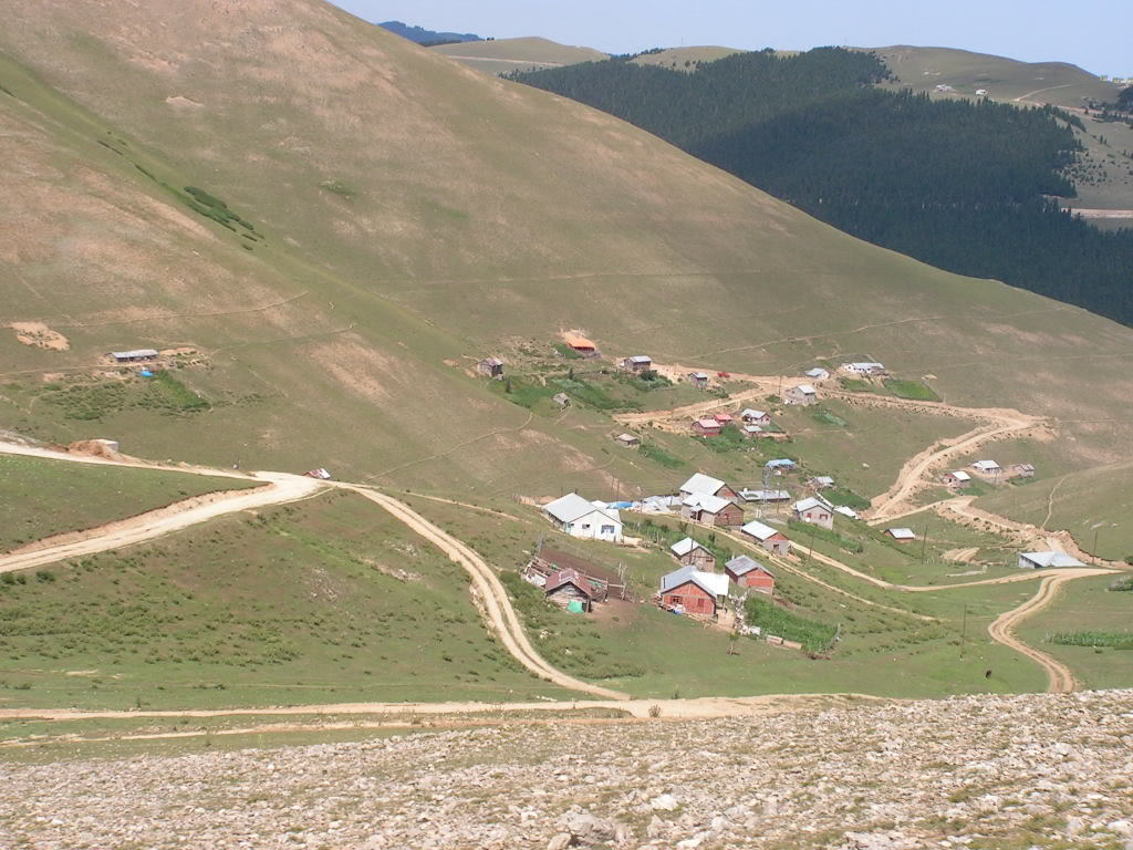 PICT1165.jpg