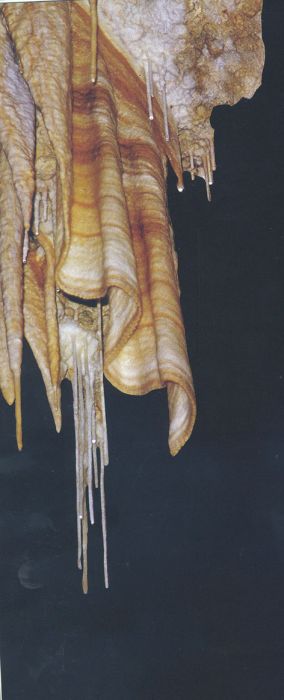 Picture-002.jpg