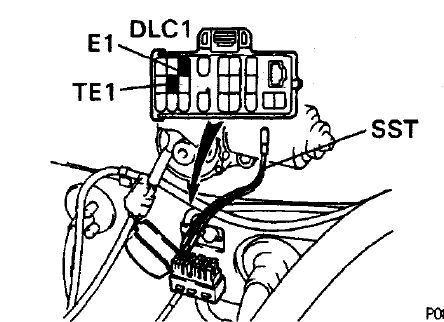 Picture 1.jpg
