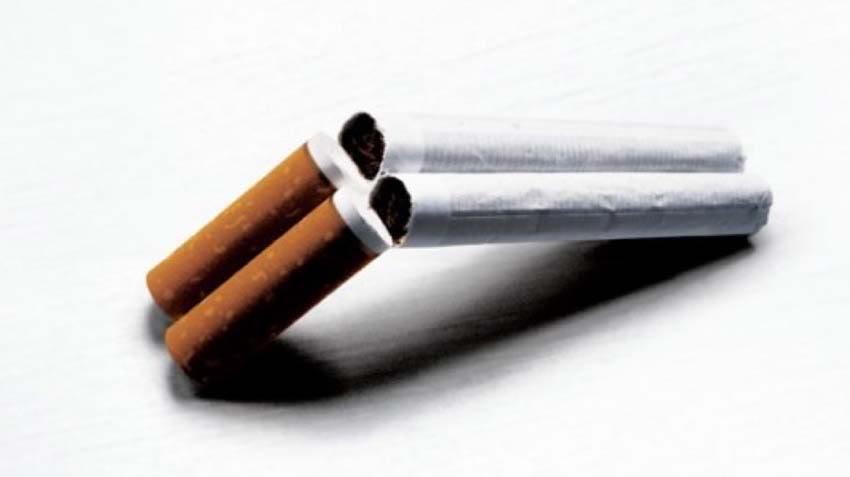 Picture2-1.jpg