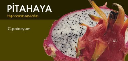 pitahaya.jpg