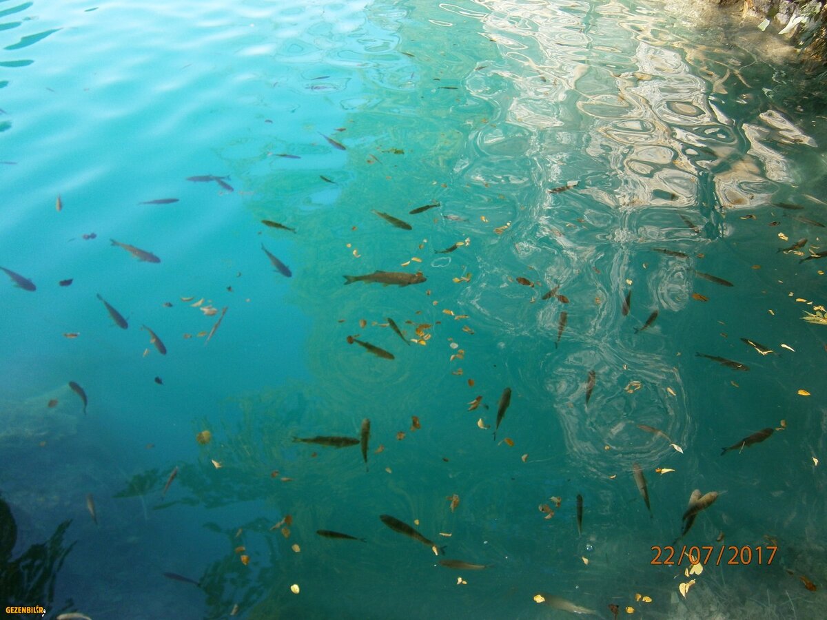 Plitvice (142).JPG