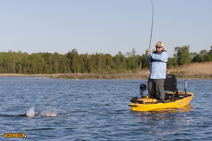 Proangler14 action rob wendle smallie 60 sm