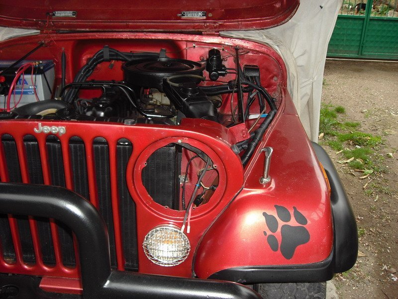 pt 010-1.jpg