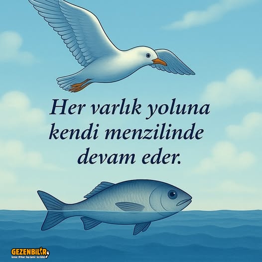 QBtmaD4455bhIeeU&_nc_zt=23&_nc_ht=scontent.fesb3-2.jpg