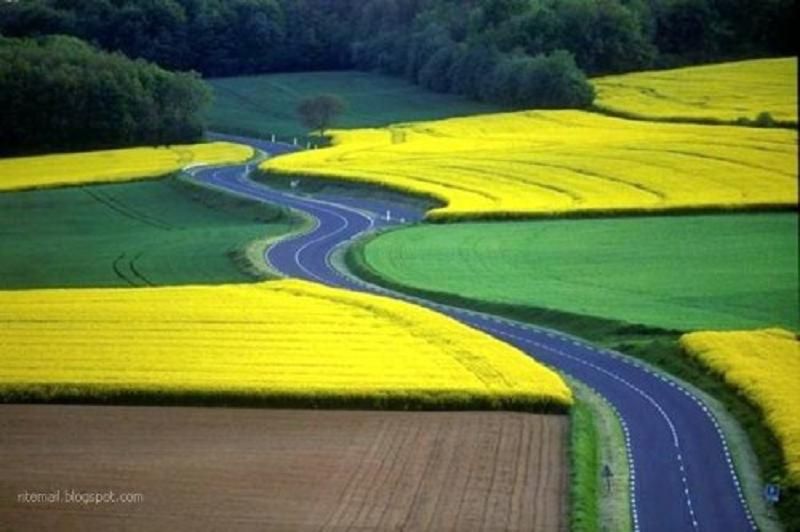 R Beautiful Roads You Cant Miss 002c