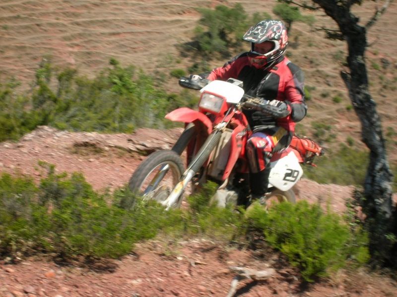 RA 11 photo.jpg