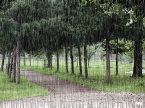 rain.jpg