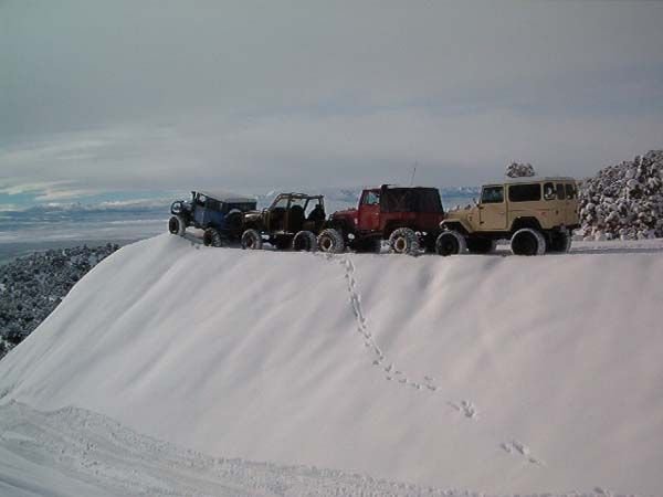 rattledec_10.jpg