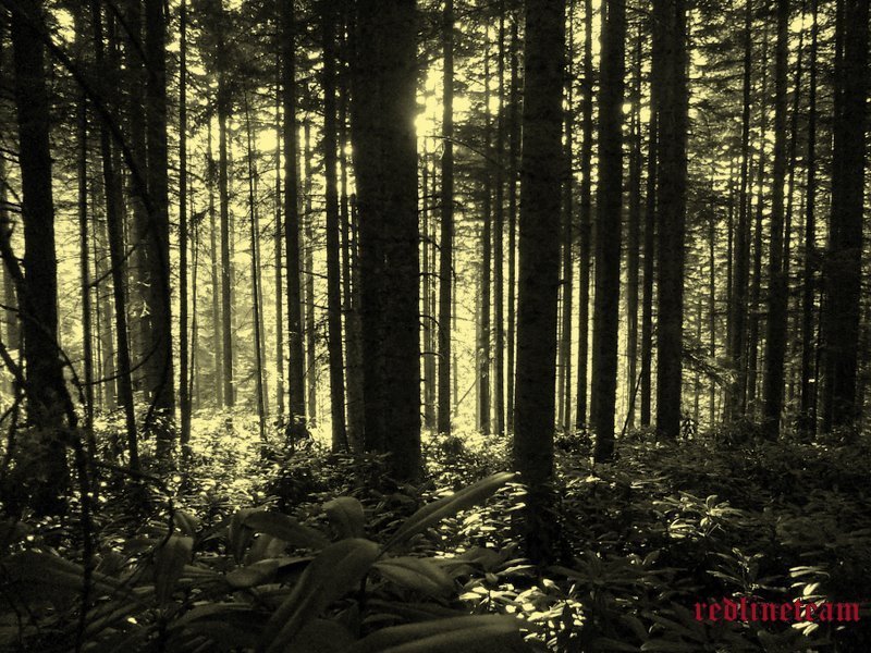 redlineteamDOSOD (17).JPG