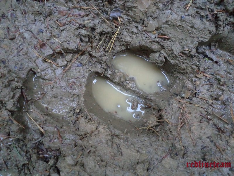 redlineteamDOSOD (18).JPG