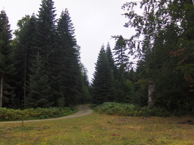 resim 002.jpg