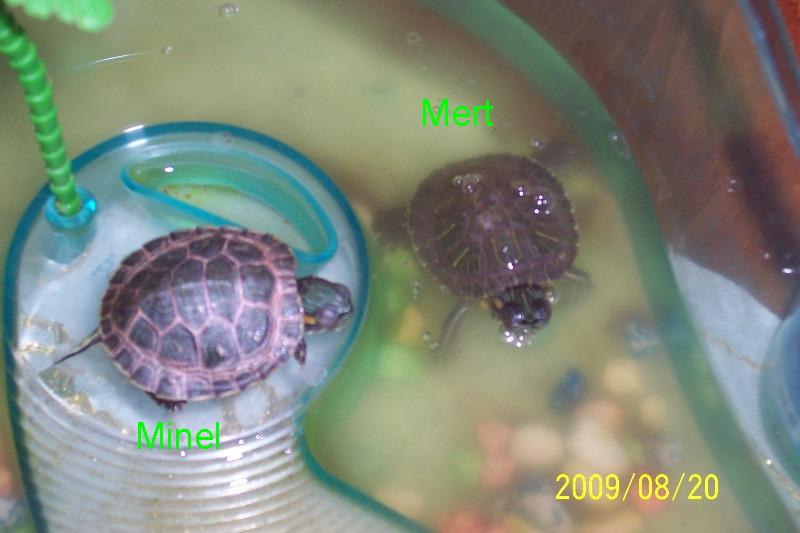 Resim 002.jpg