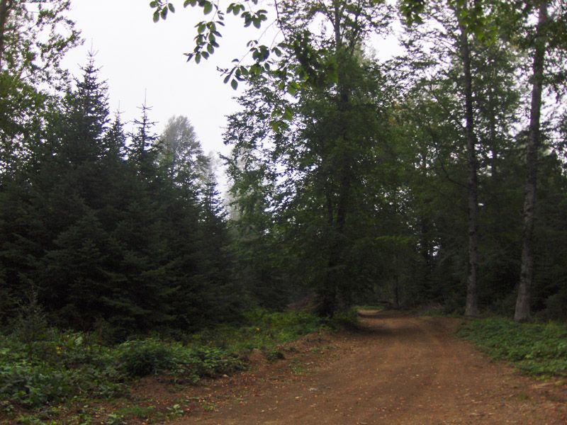 resim 005.jpg
