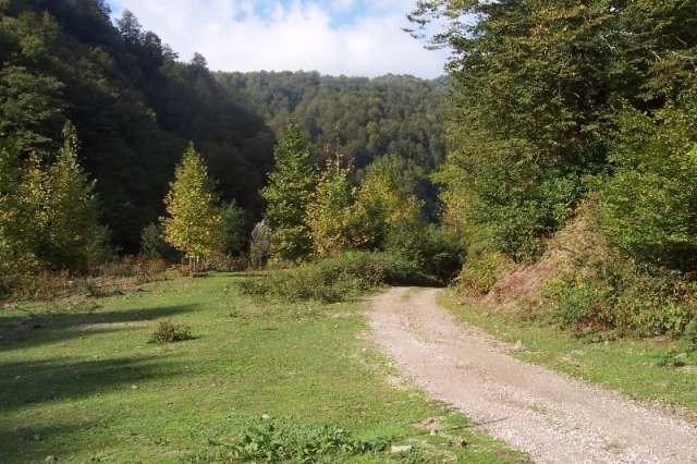 Resim 022.jpg